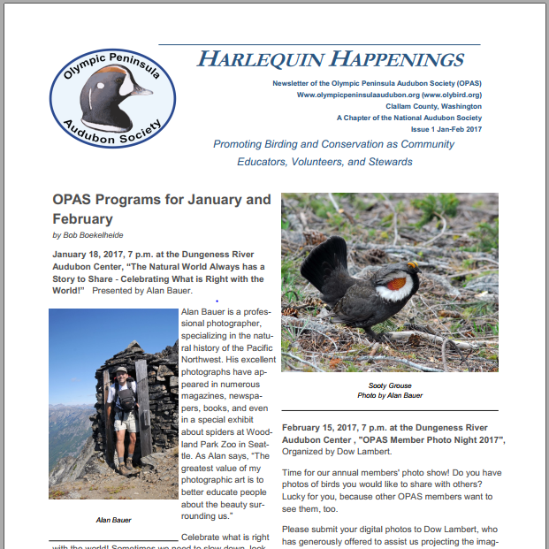 OPAS Awarded Audubon Collaborative Grant — OLYMPIC PENINSULA