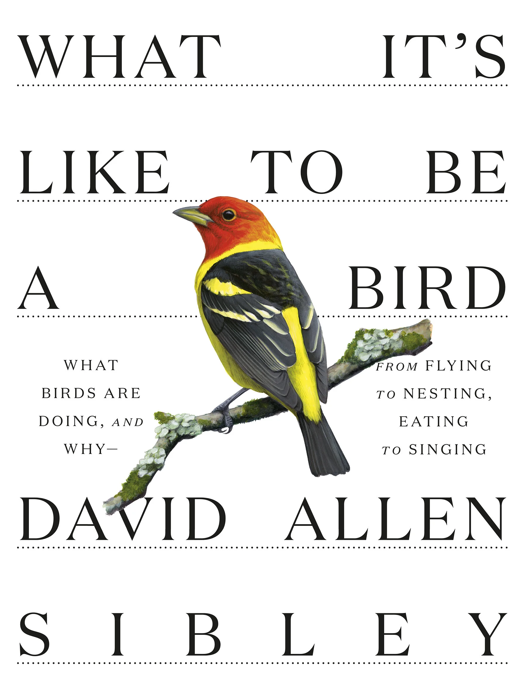 OPAS Virtual Book Discussion - "What It's Like To Be A Bird"