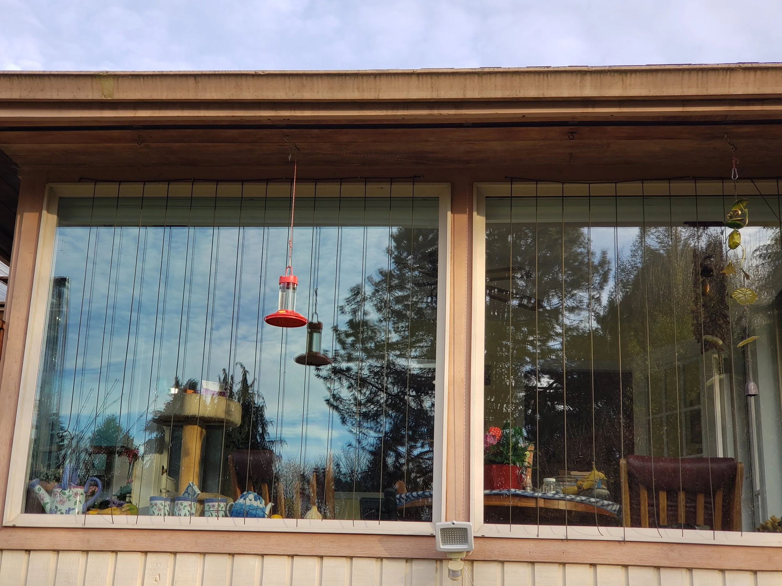 Reduce Window Strikes: What works and what doesn’t