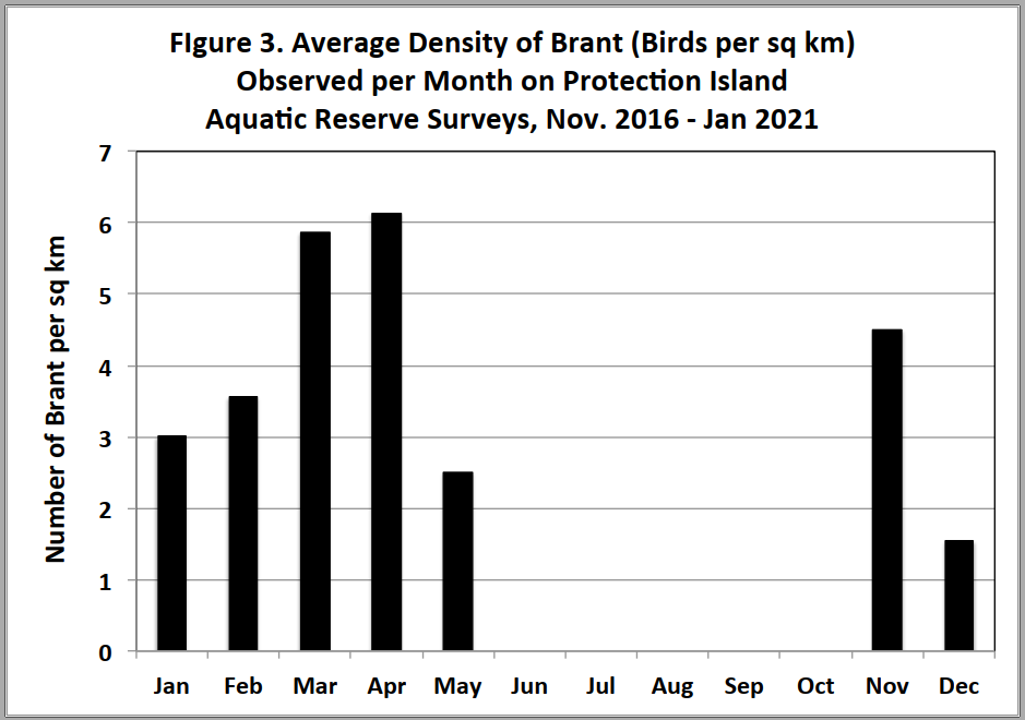 The Story of Brant — OLYMPIC PENINSULA AUDUBON SOCIETY