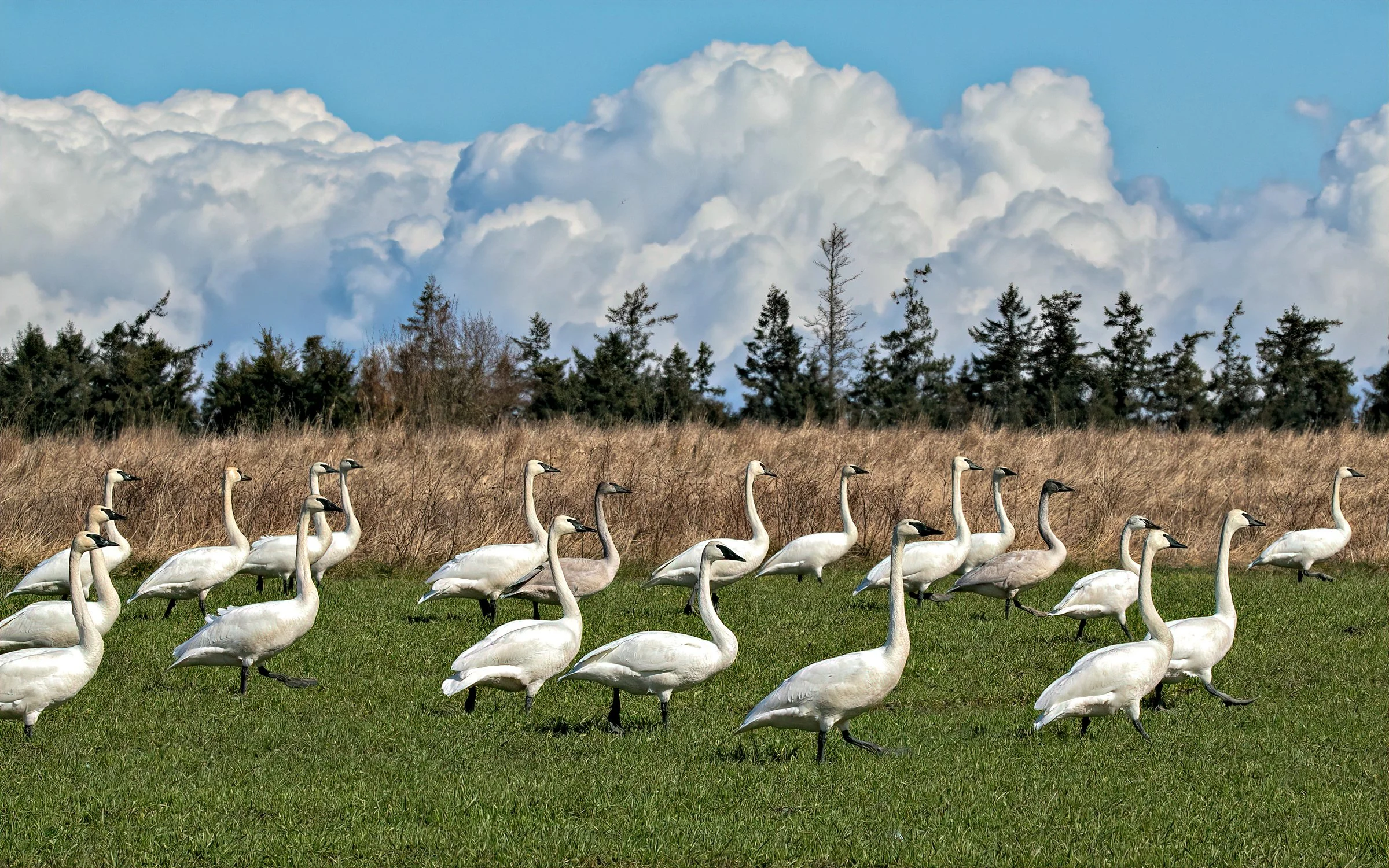 February President’s Notes—A Year of Accomplishments!