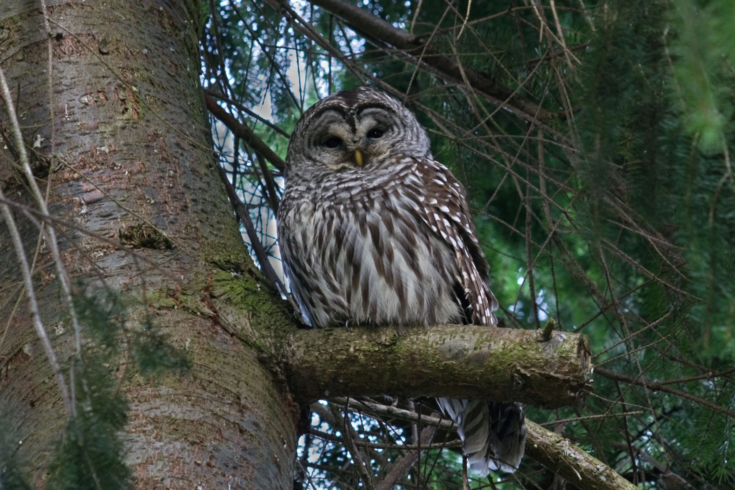 March President’s Notes—Time to Walk (or Roll) the Walk