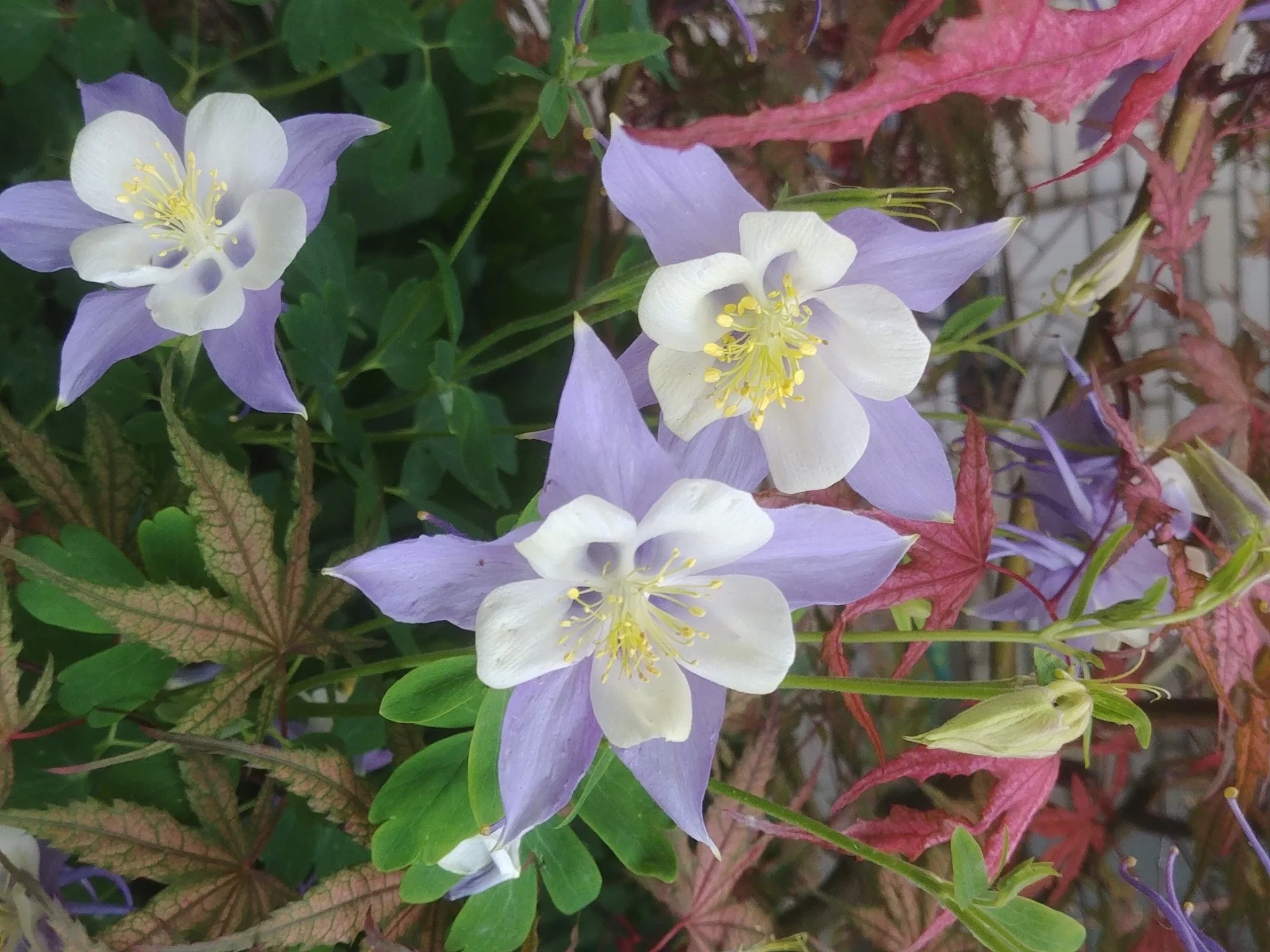 April President’s Notes–Proper Prior Planning…