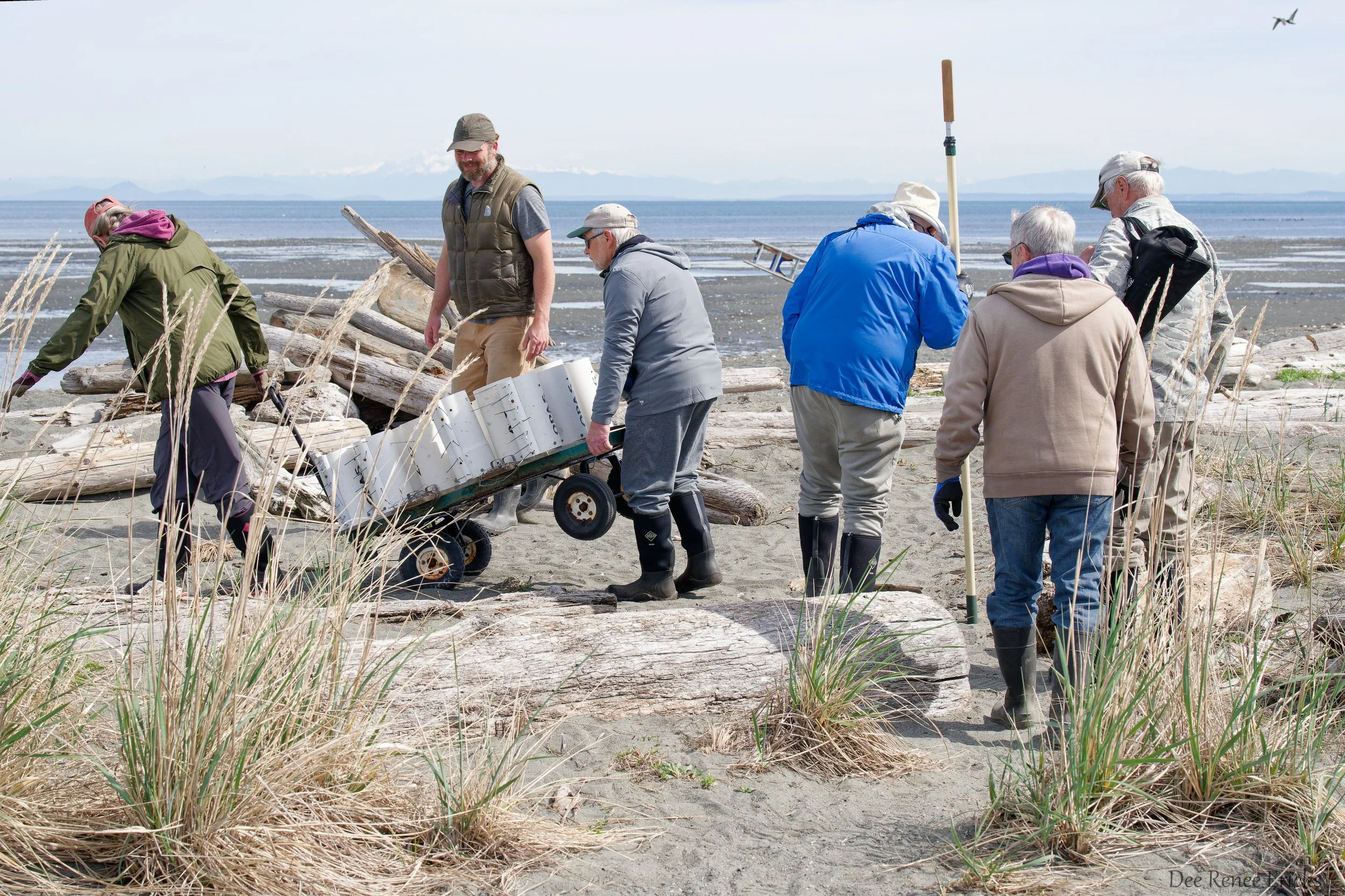It Takes A Team!  Purple Martin Nest Boxes