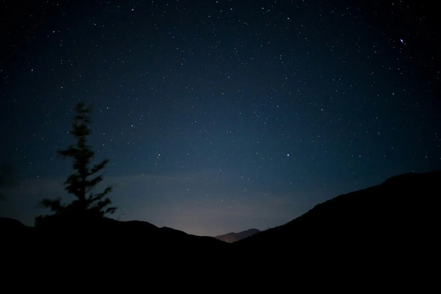 The Importance of Dark Skies for Birds and People