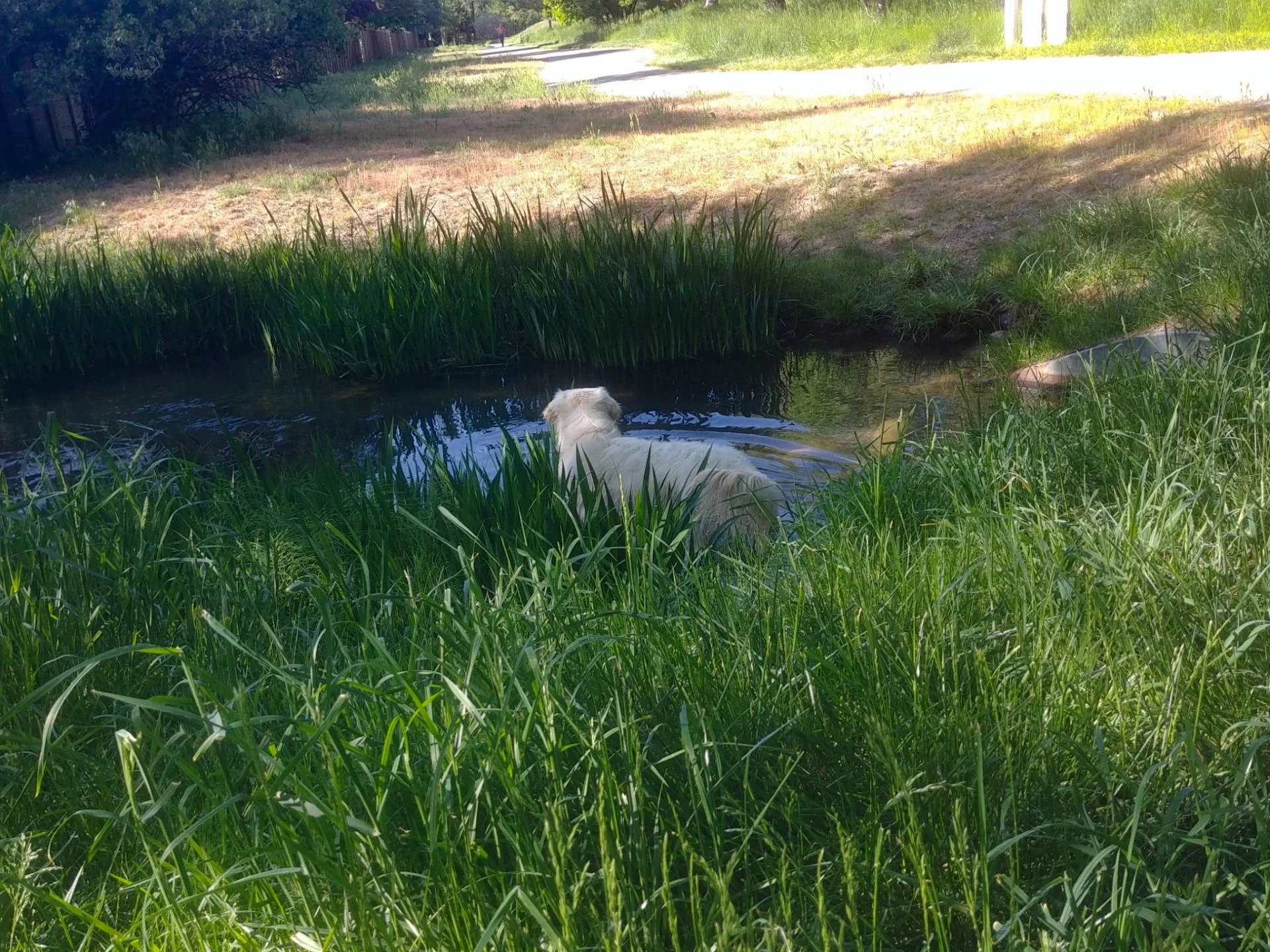 June President's Notes—A Different Kind of Irrigation Festival