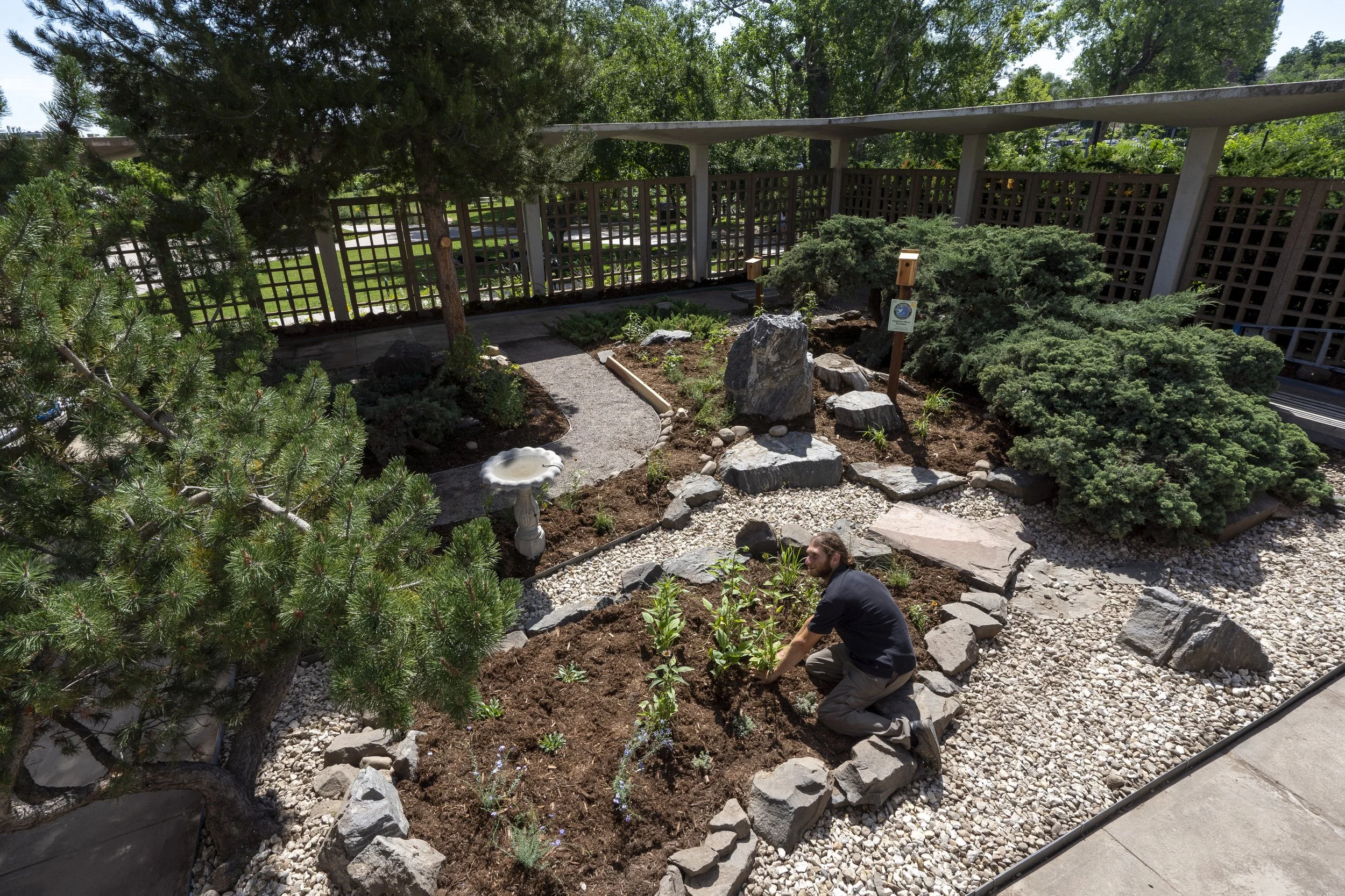OPAS Backyard Birding: “Bird-Friendly Communities”
