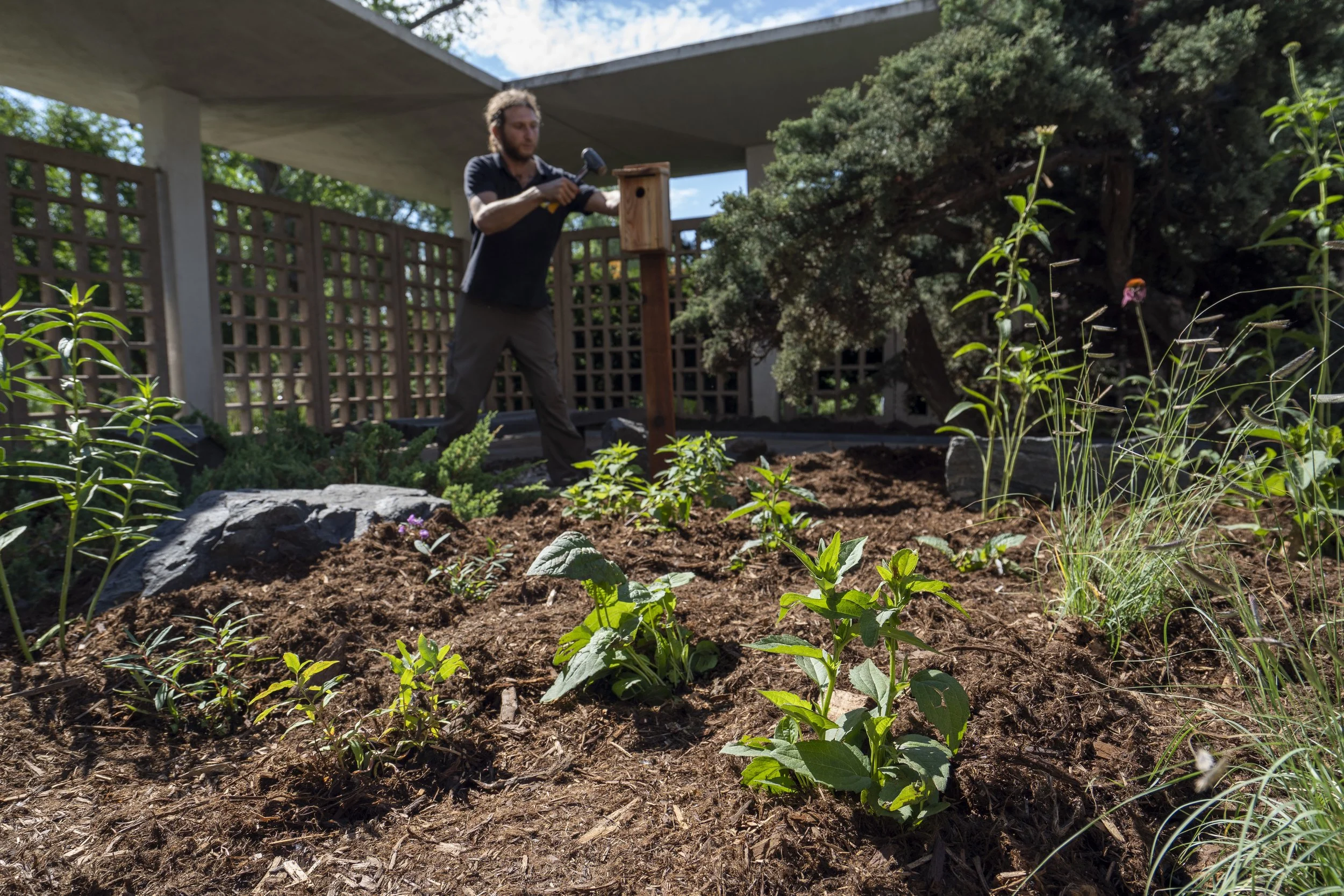 Bird-Friendly Communities 