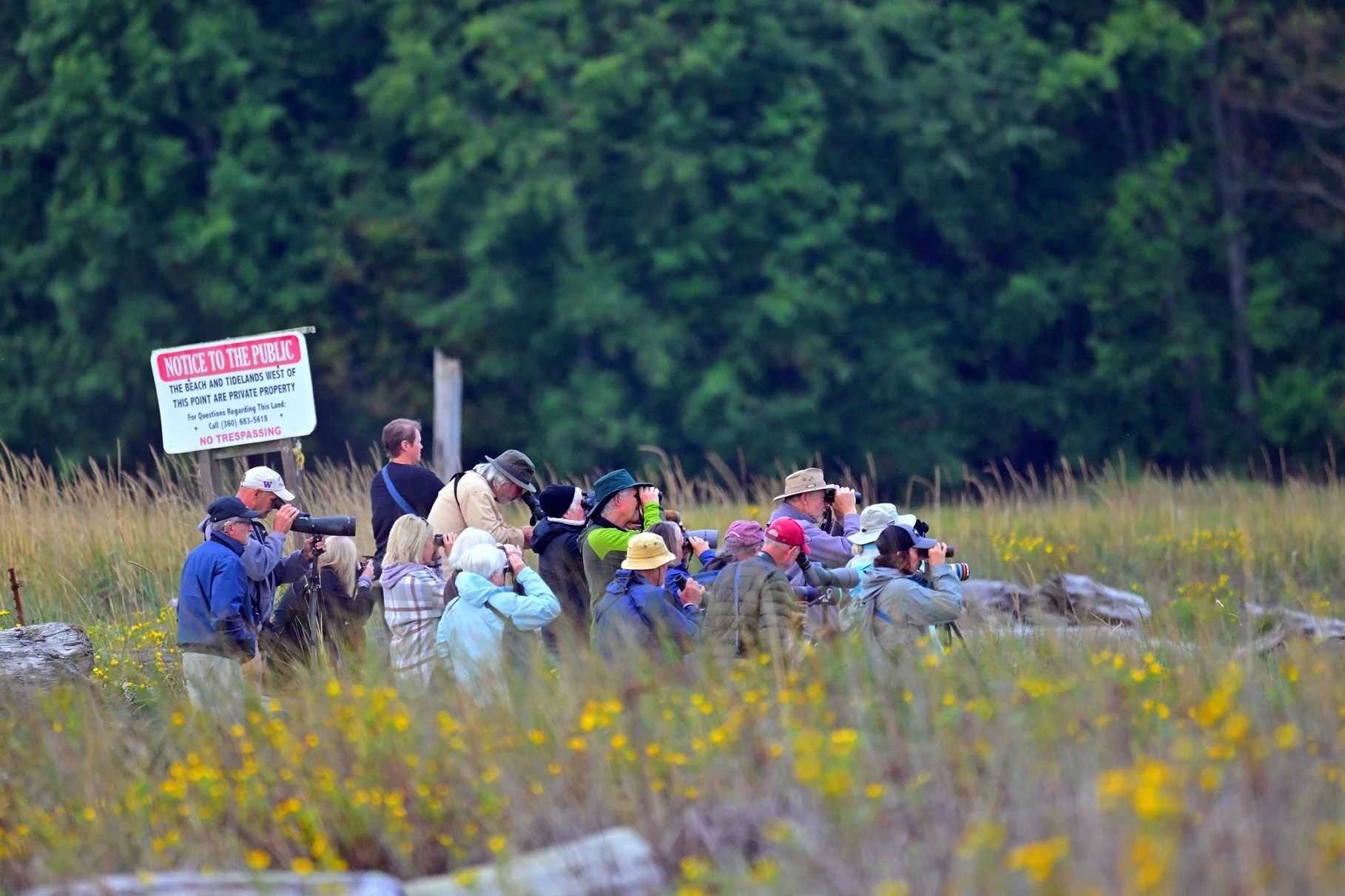 Dungeness Bay Late August Field Trip Report 