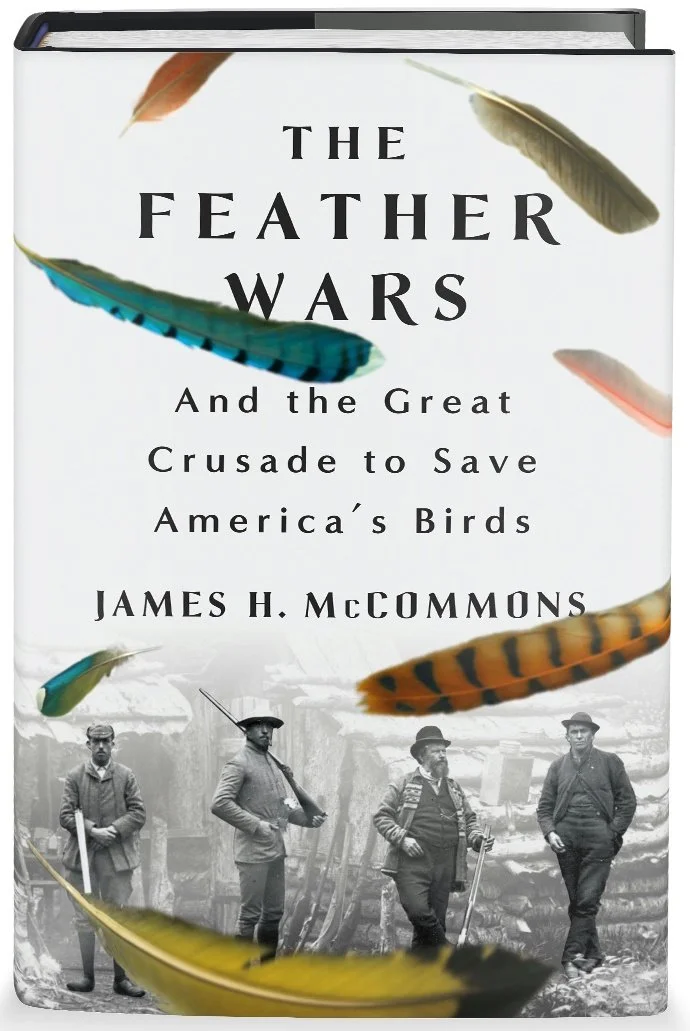 "The Feather Wars" Video