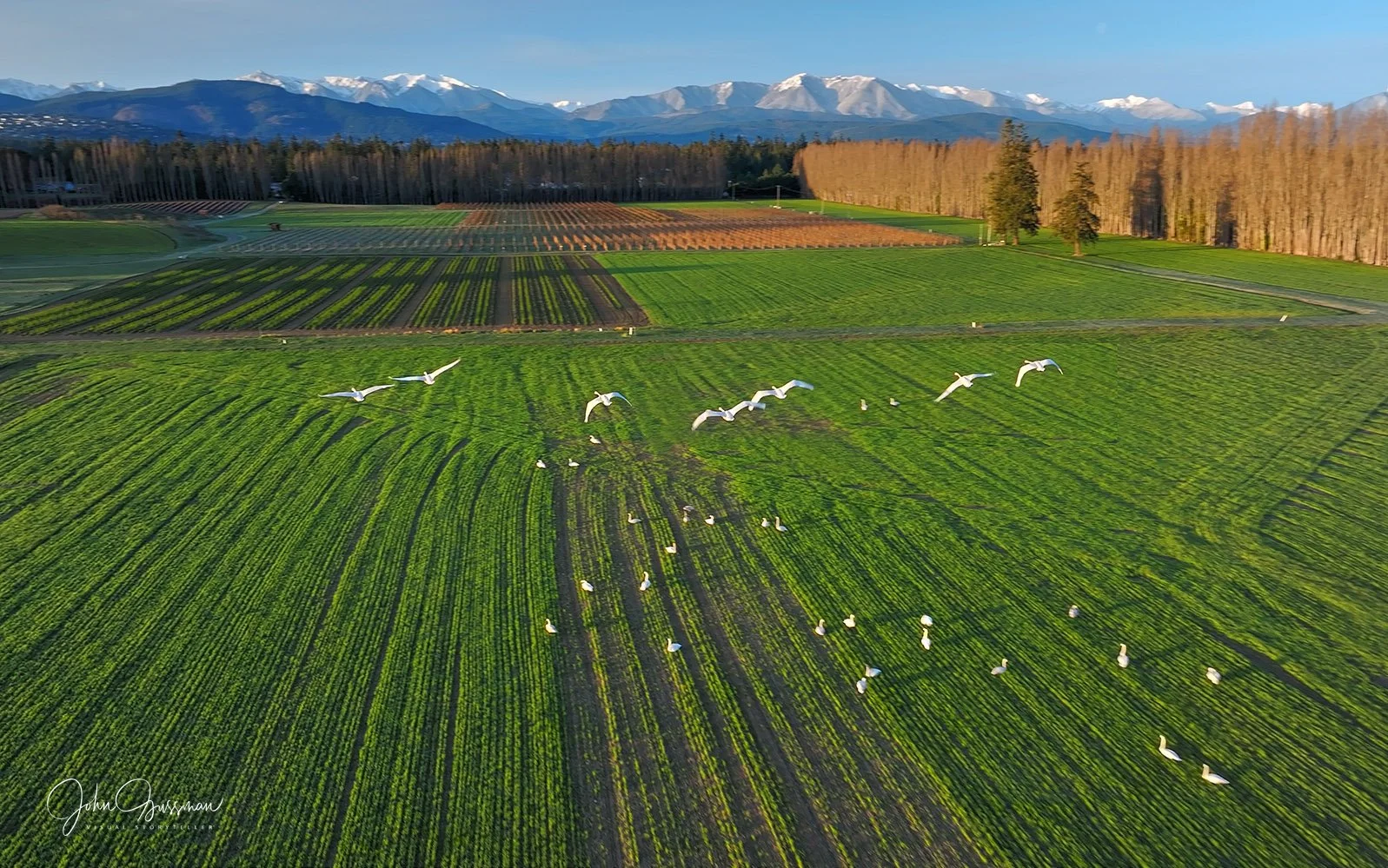 2024–2025 Season Summary