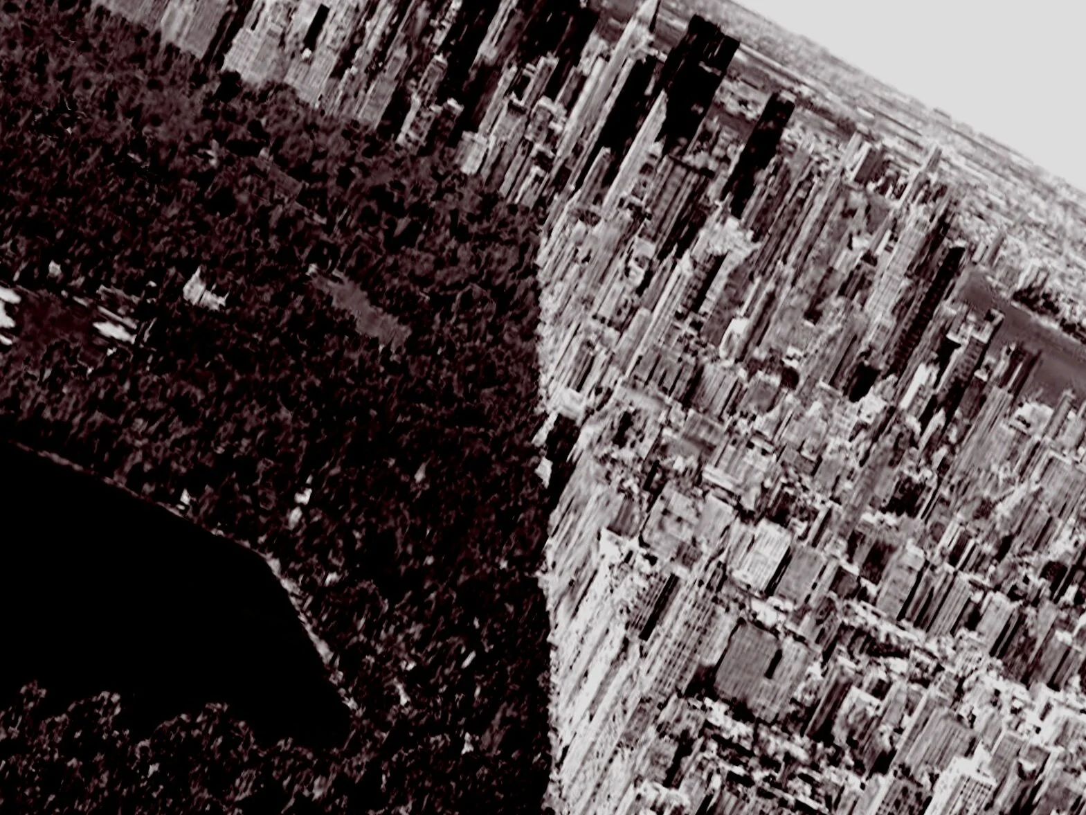 Central+Park+Black+%26+White.jpg