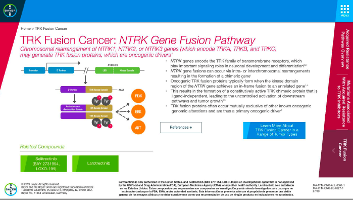 Bayer Oncology Pipeline 3.png