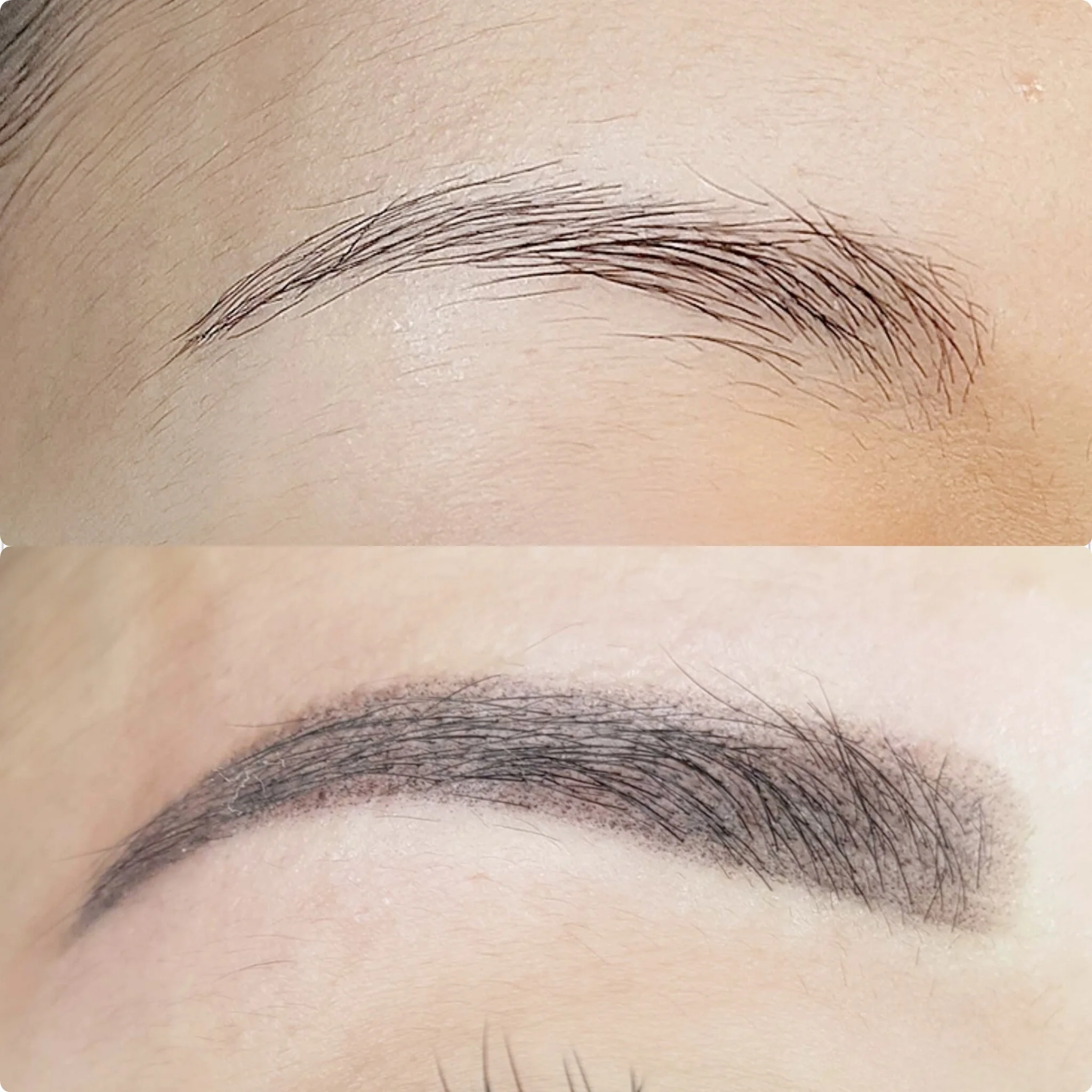 Eyebrow Ombre powder permanent makeup