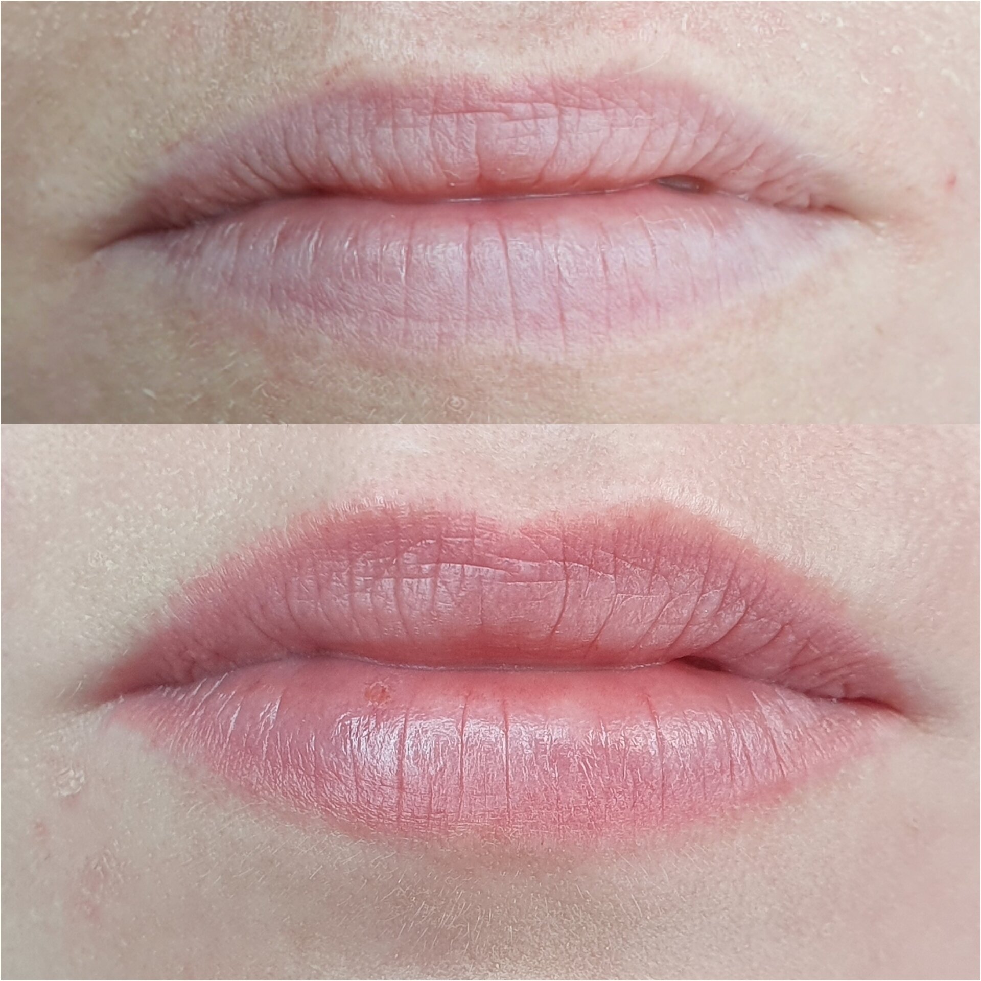Lip blush contour and shade permanent makeup 1