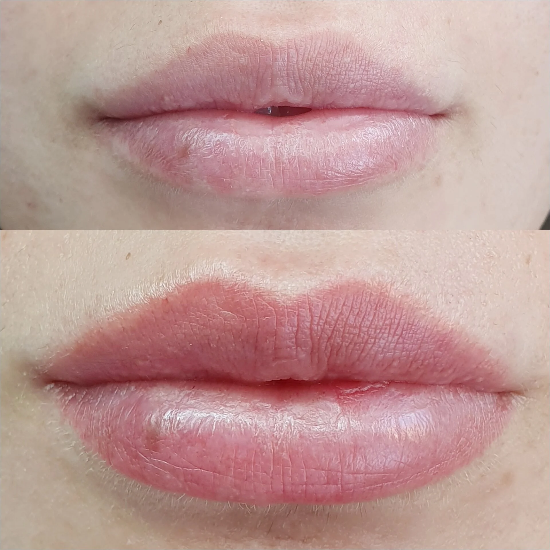 Lip blush contour and shade permanent makeup 2