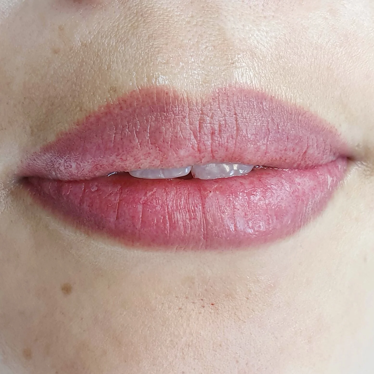 Lip blush contour and shade permanent makeup 3