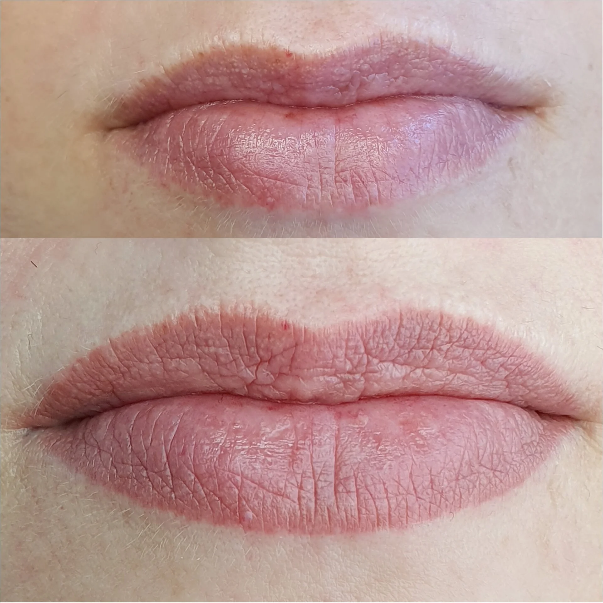 Lip blush contour and shade permanent makeup 4