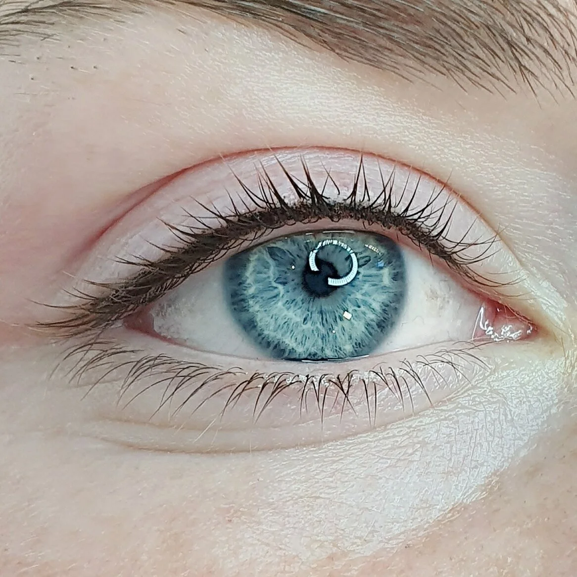 Eyeliner lash liner  permanent makeup