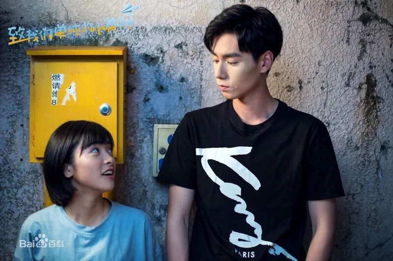 Review A Love So Beautiful C Drama Always The Critic Movie Podcast