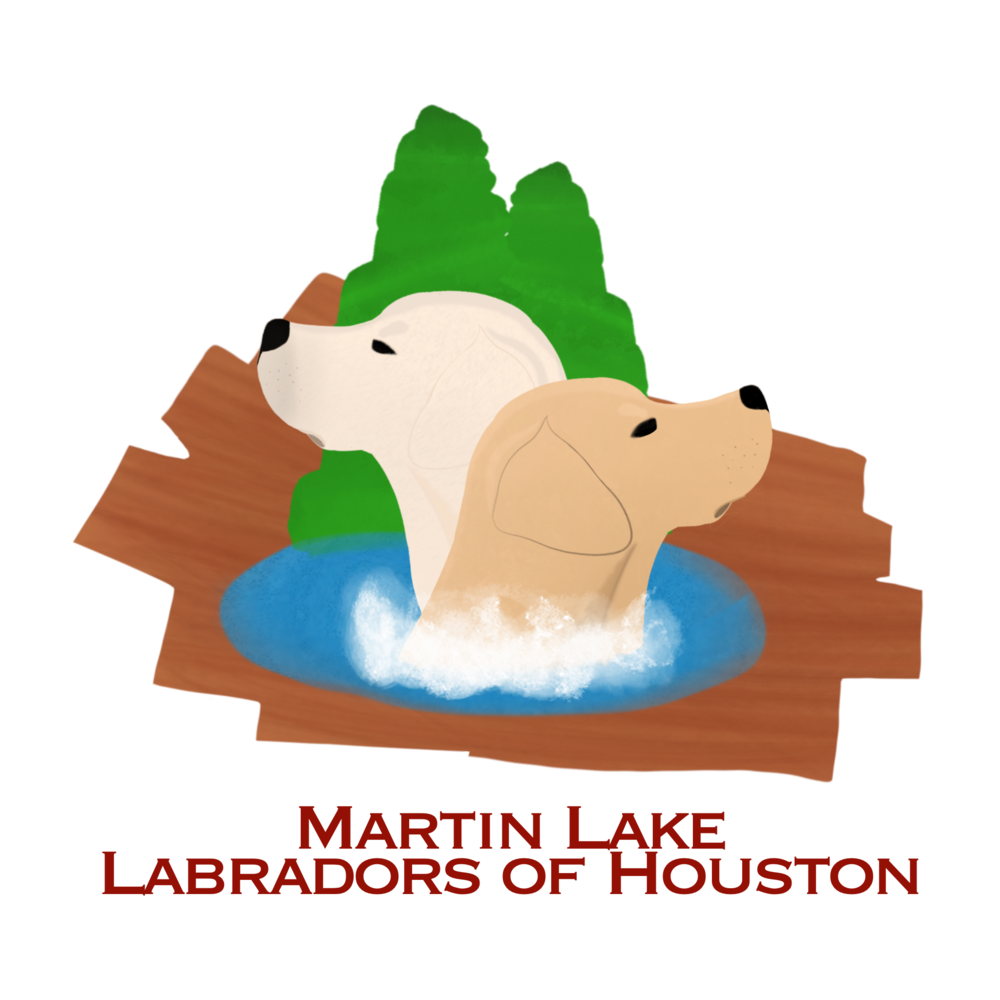 Martin Lake Labradors of Houston