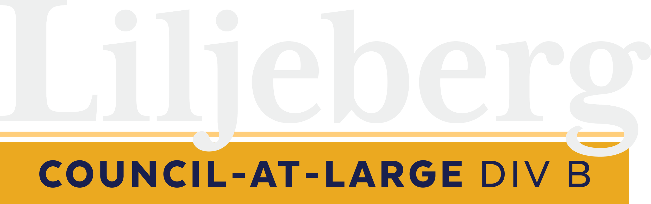 Hans Liljeberg for Council-at-Large Division B