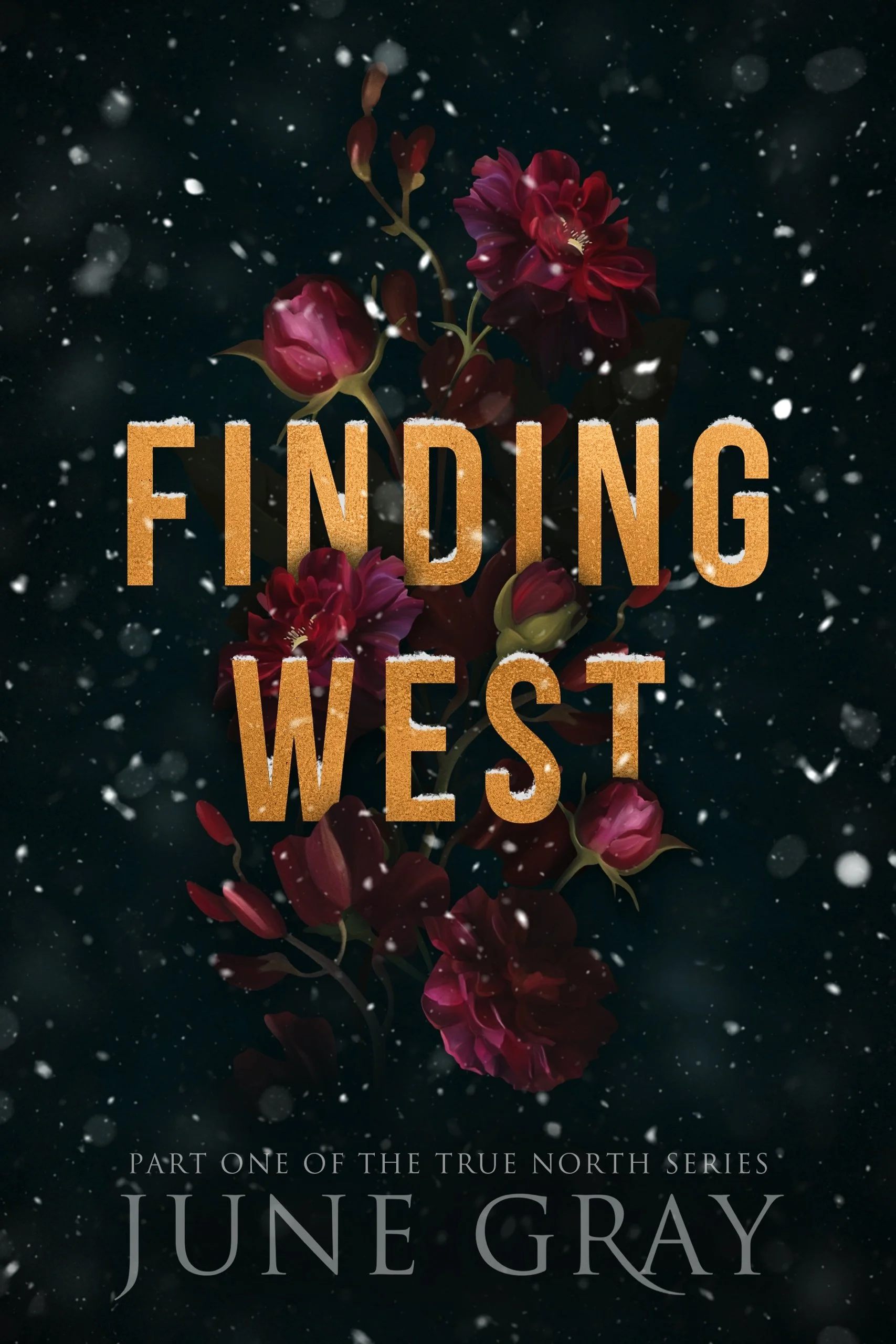 Finding-West-Kindle.jpg