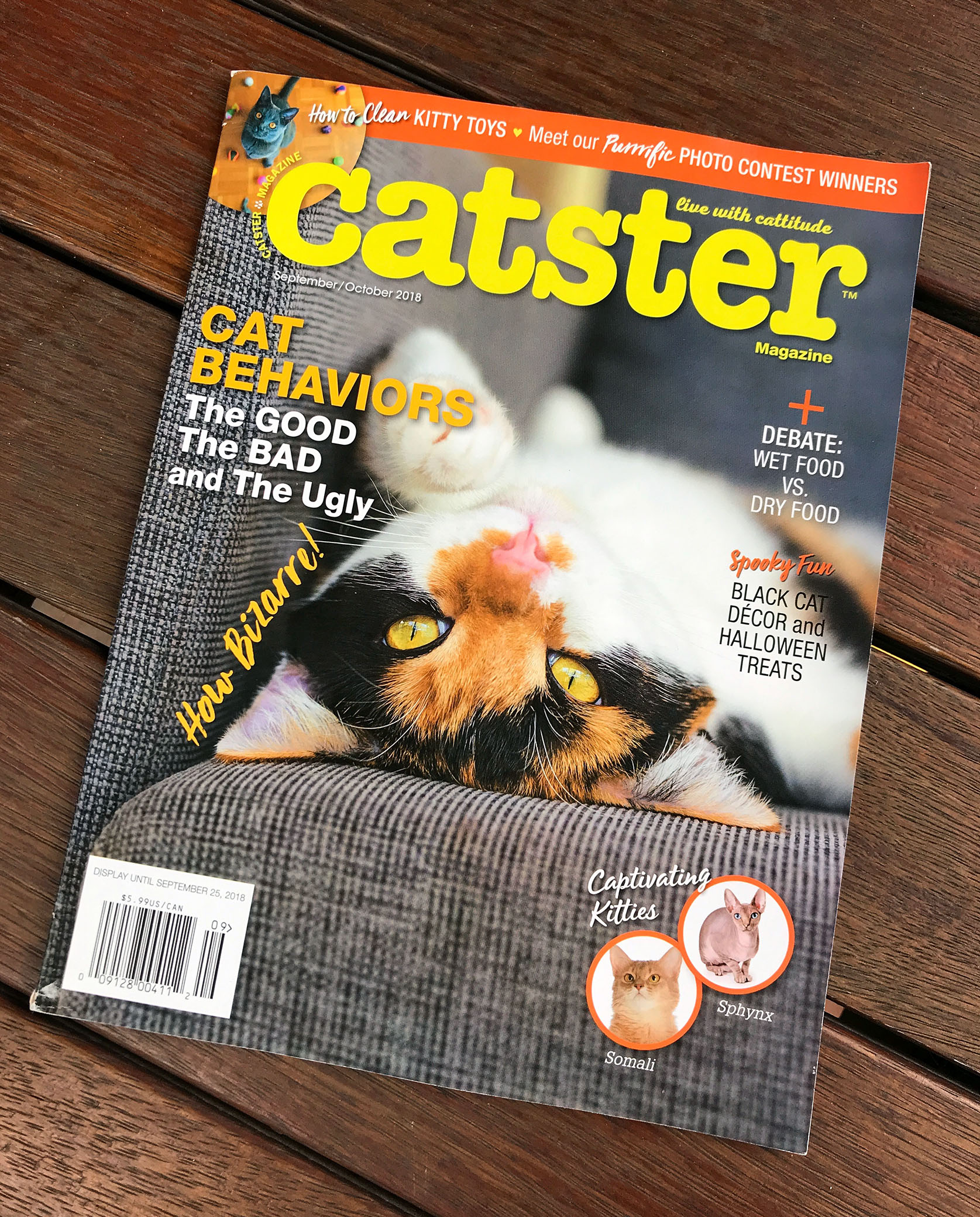 catster.jpg
