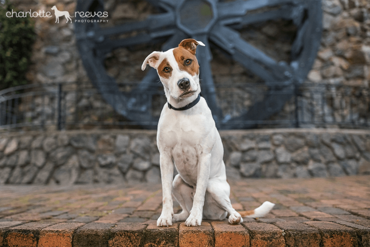 Deluxe Session ~ Benji at Montville  