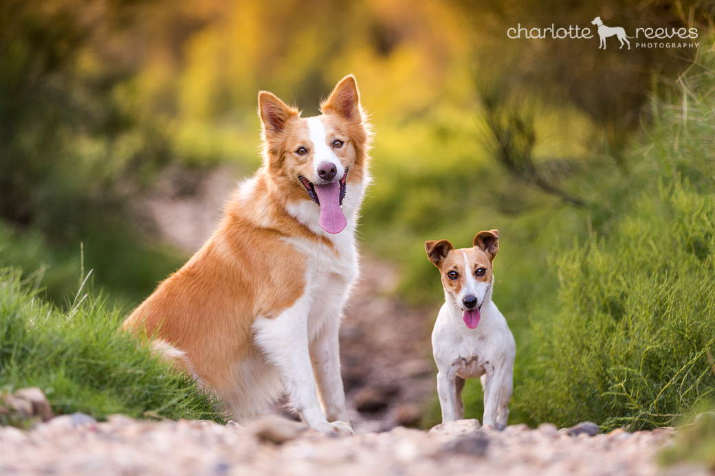 Deluxe Session ~ Mia and Ella in Brisbane  