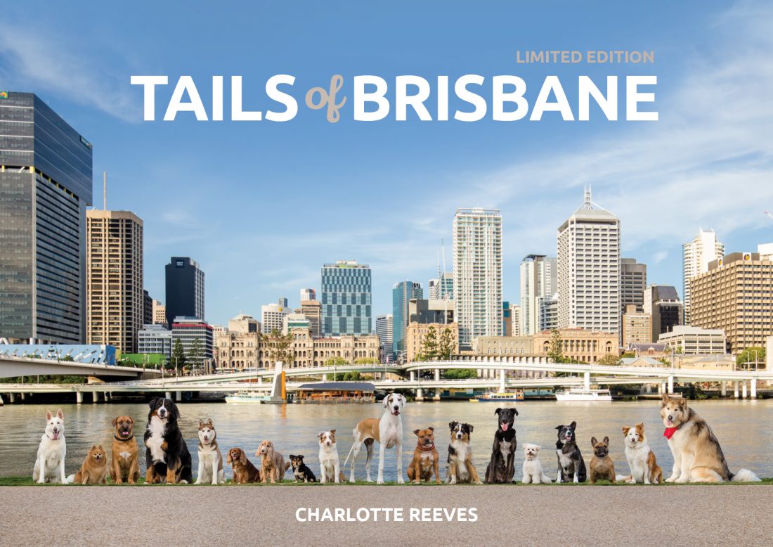 Tails of Brisbane Book Launch Picnic  