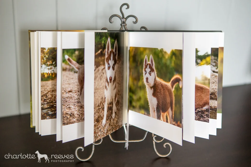 New Product ~ Momento Book  