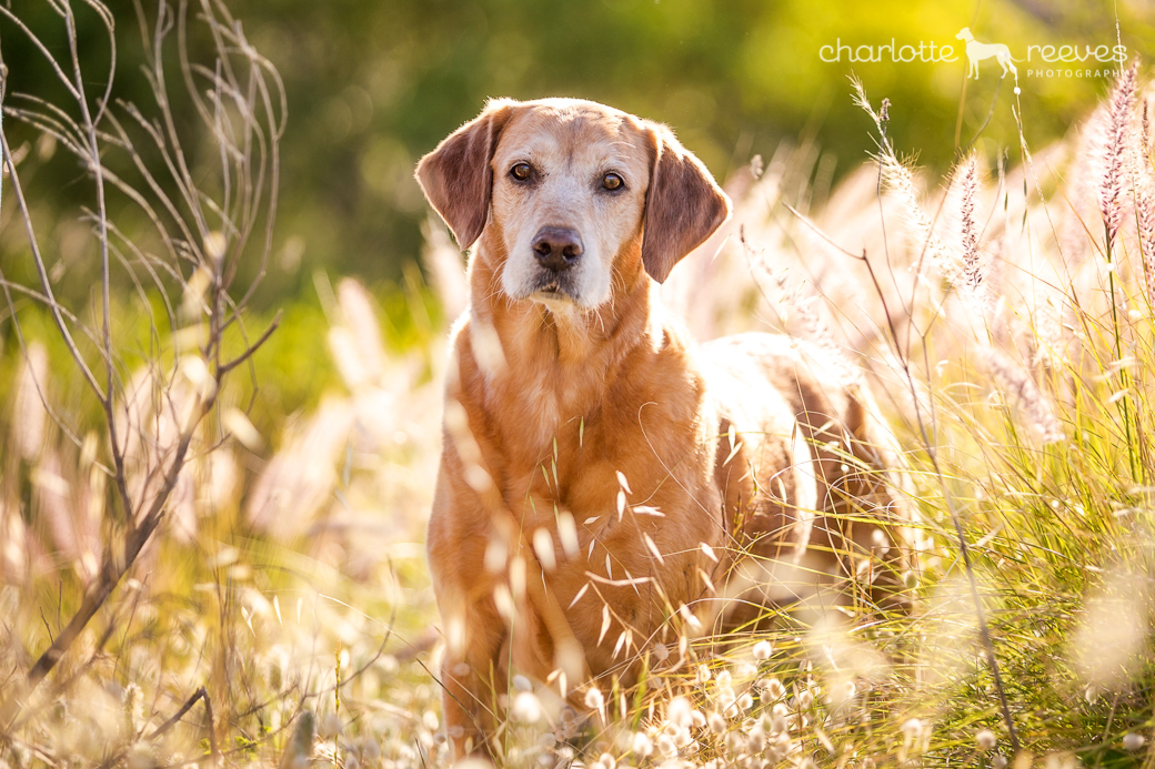 Travel Session ~ Bonnie in Perth  