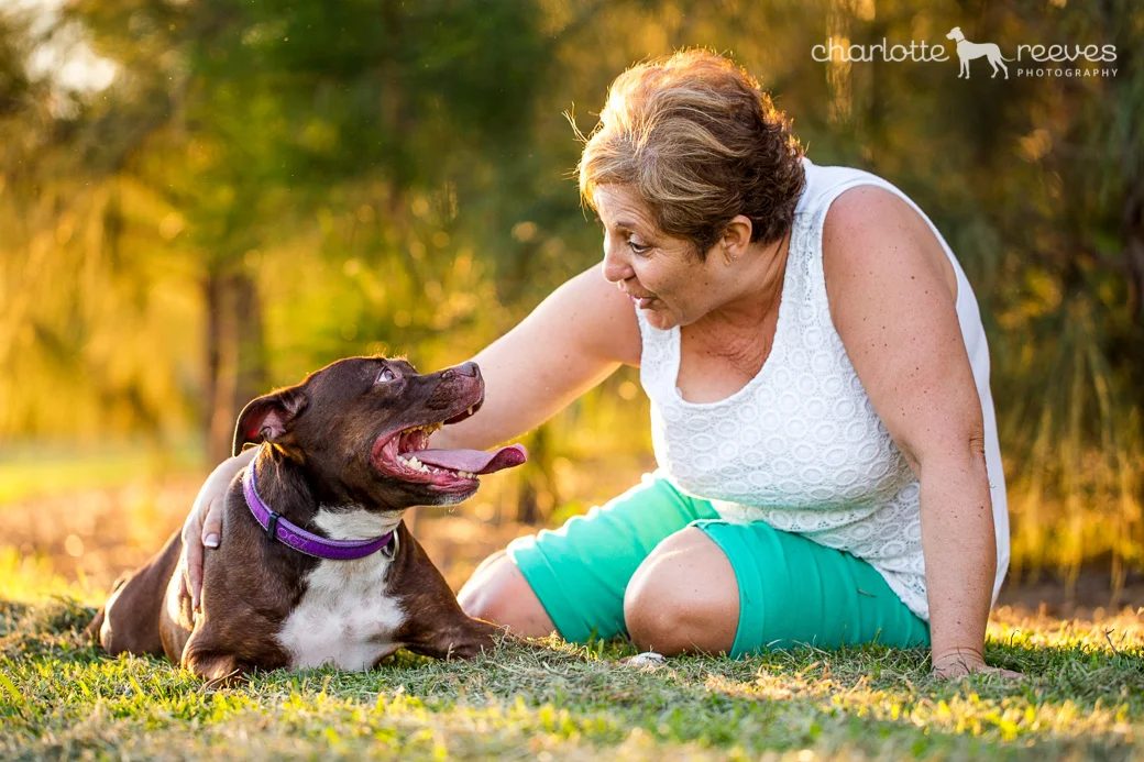 Deluxe Session ~ Bella the Staffordshire Bull Terrier  