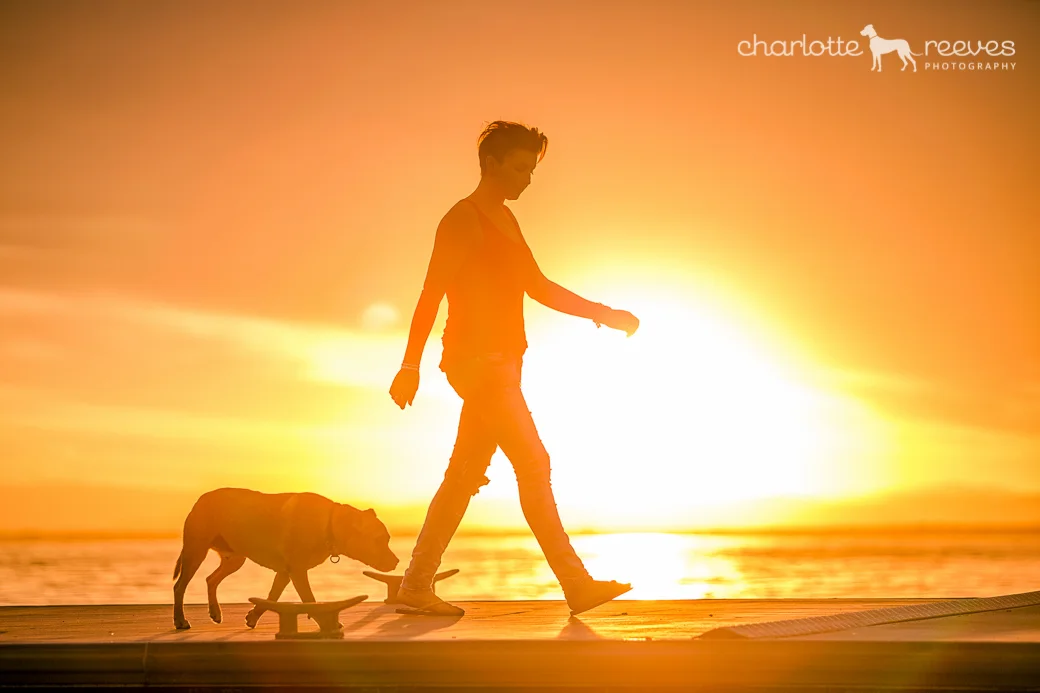 Deluxe Session ~ Mister Jay Brown the Staffy Mix at Bribie Island  