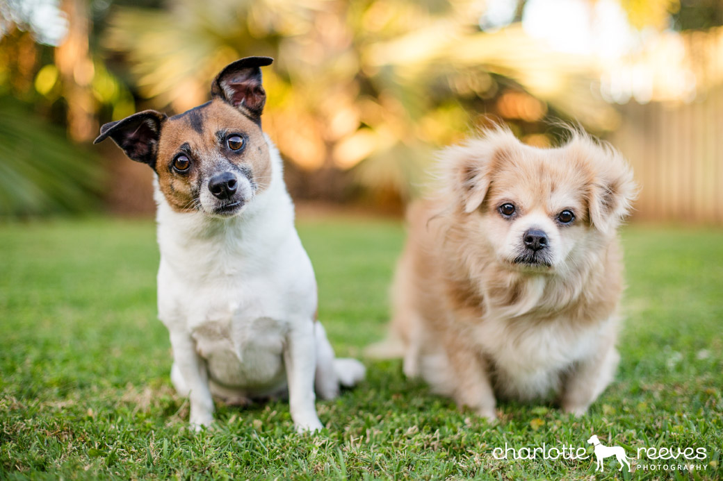 Client Session ~ Sam and Jessie in Mackay  