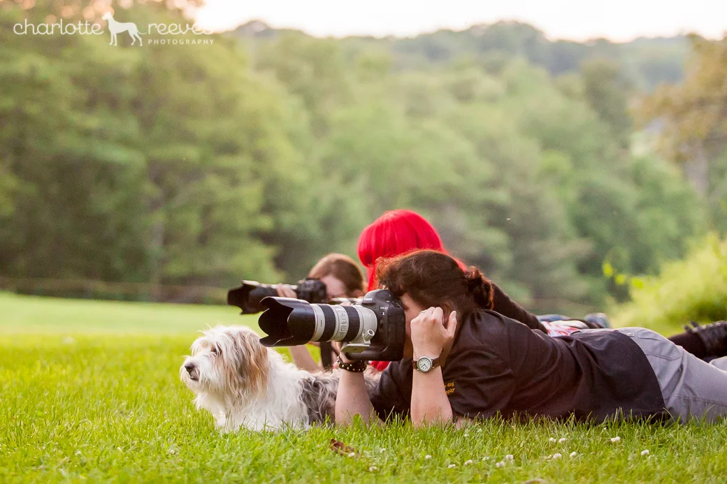 Pet Photographer's Meetup in the Poconos, Pennsylvania  