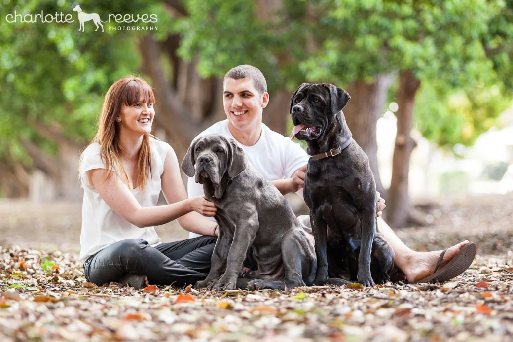 On-Location Client Session ~ Zada and Zeus in Toowoomba  