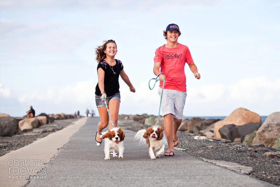 Client Session ~ Macca and Baxter the Cavalier King Charles Spaniels on the Gold Coast  