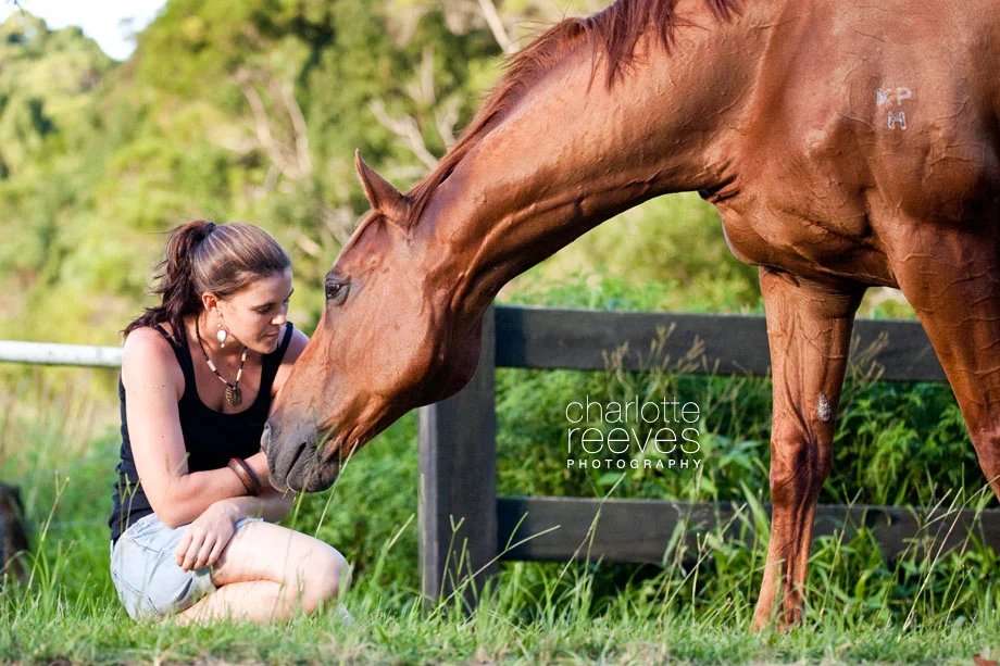 Client Session ~ Aly the Thoroughbred  