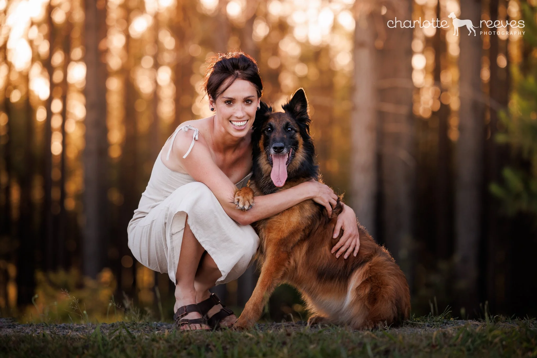 Alis the Malinois in the Pine Forest