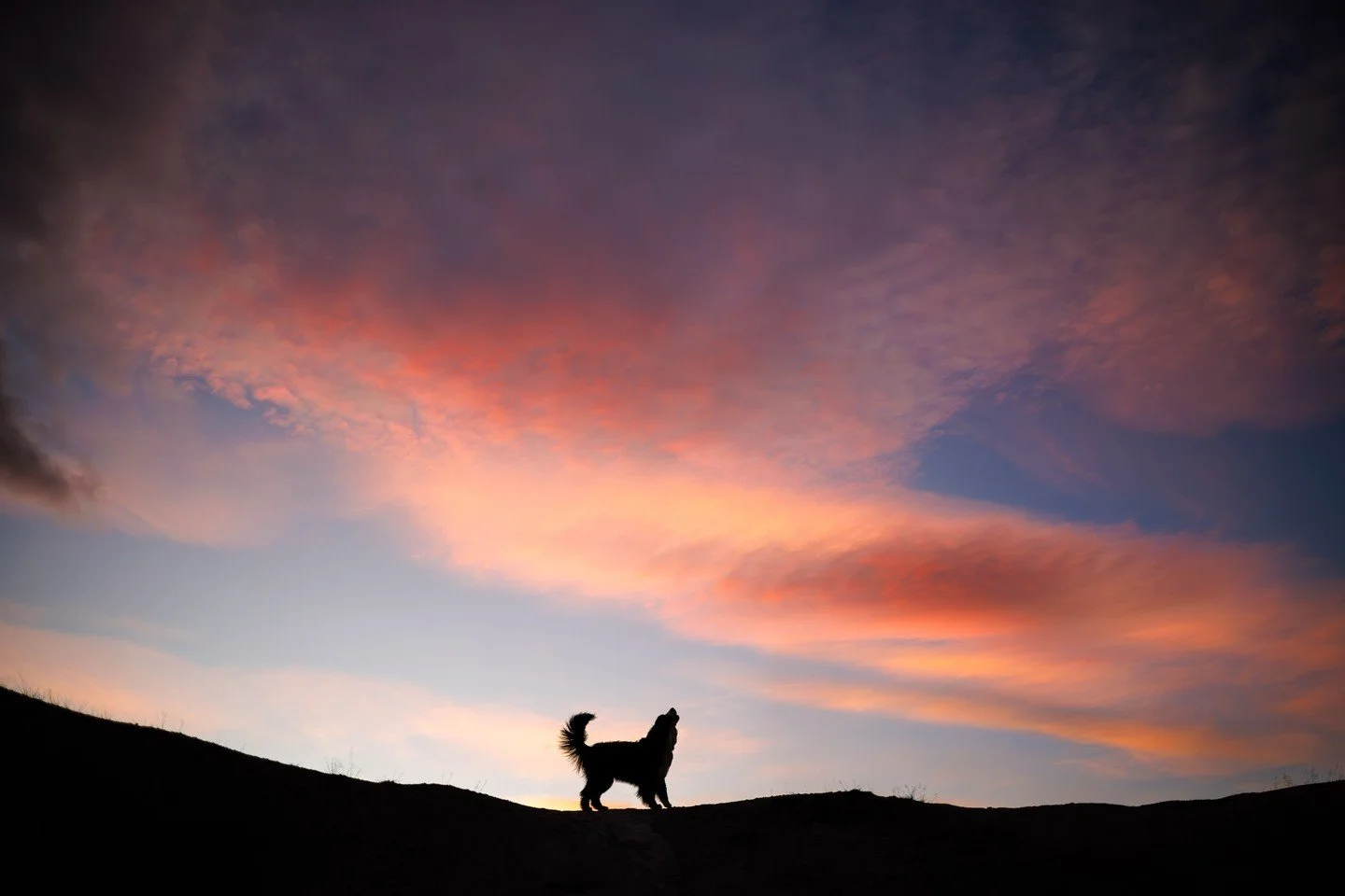 ⭐️ In this series, I'm sharing my Top 10 Photos of 2024 ⭐️⁠
⁠
Another post-workshop fun shoot took place at St Bathans, an incredible and other-worldly location that features a dramatic landscape shaped by 19th-century gold mining. Hydraulic sluicing
