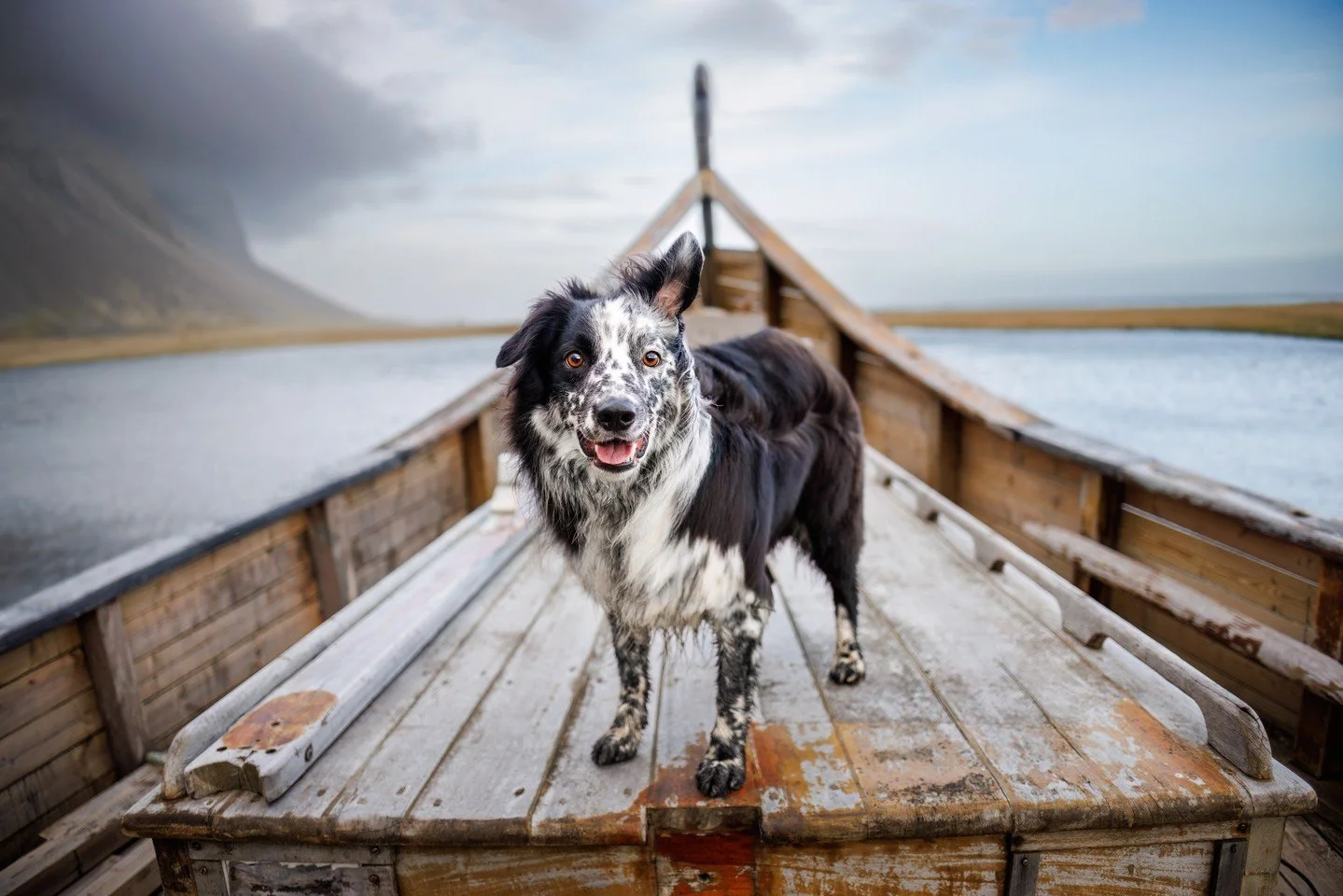 ⭐️ In this series, I'm sharing my Top 10 Photos of 2024 ⭐️⁠
⁠
➡️ Swipe to see a behind the scenes video.⁠
⁠
This next location-scouting shoot for Barkjavik was a dream come true for me. We originally intended to begin the shoot at Stokksnes, a stunni