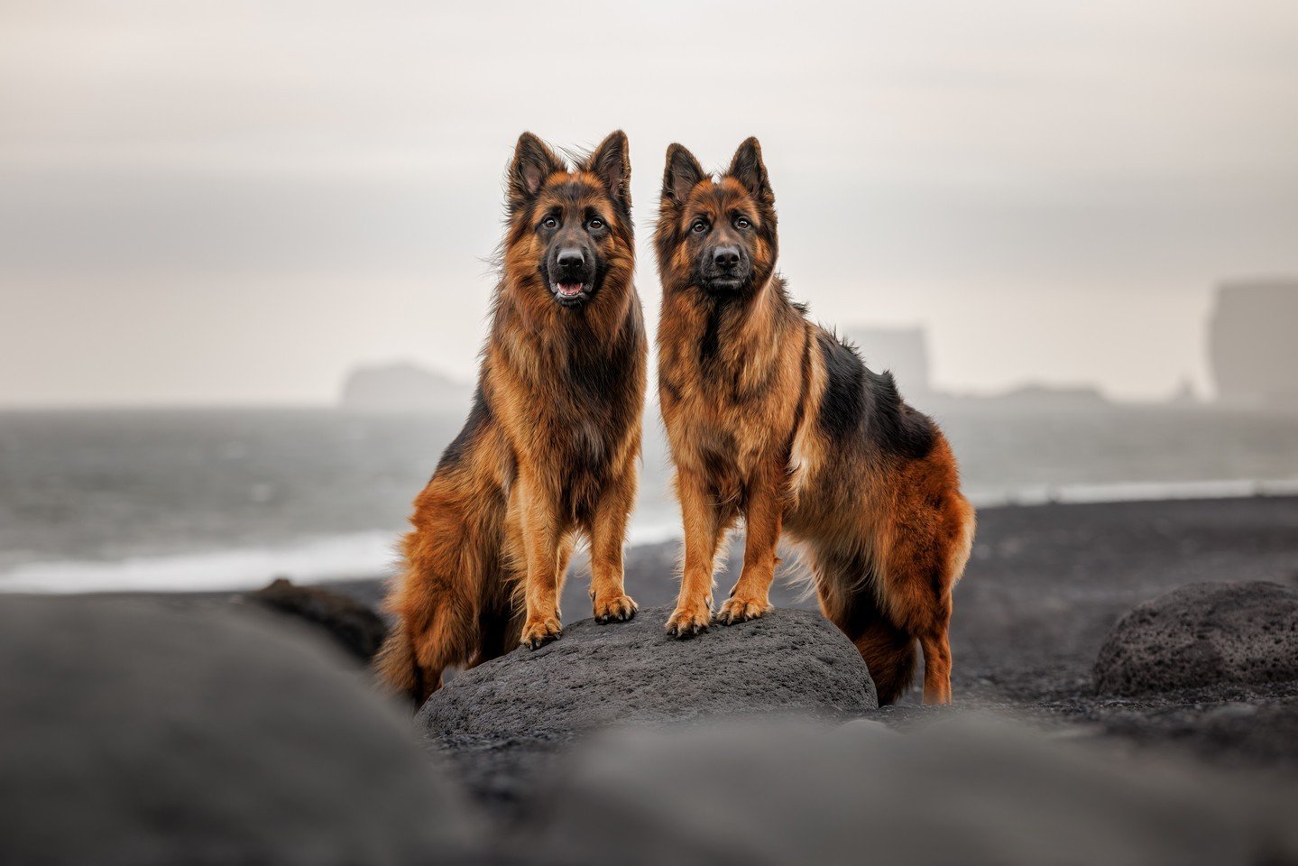 ⭐️ In this series, I'm sharing my Top 10 Photos of 2024 ⭐️⁠
⁠
We&rsquo;d shot at this location during @unleashed.ed's Style Lab Retreat in 2023, but it&rsquo;s the kind of place you can always come back to and the mood will be different, as the weath