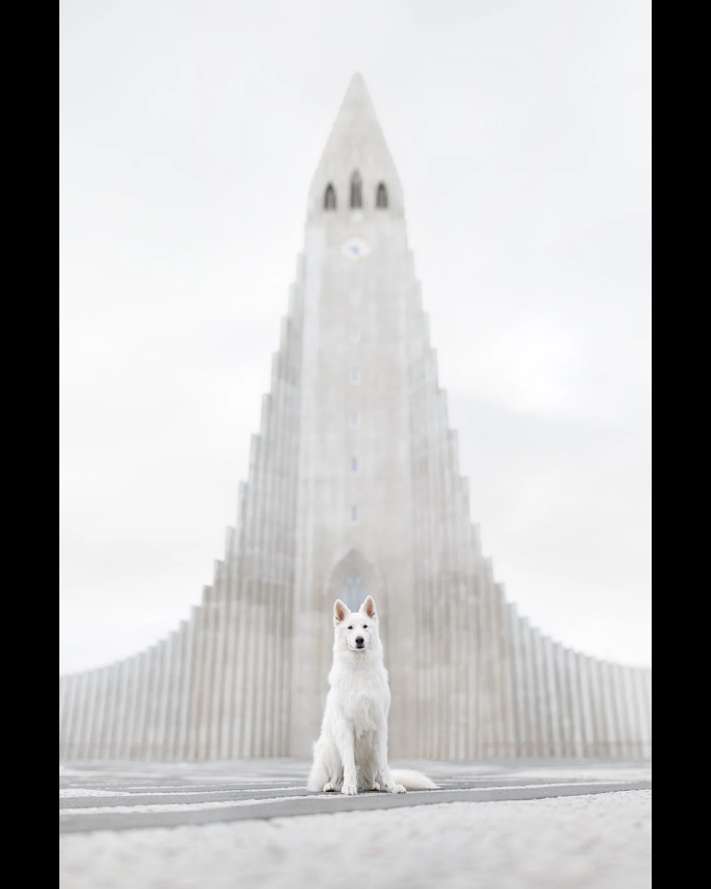 ⭐️ In this series, I'm sharing my Top 10 Photos of 2024 ⭐️⁠
⁠
After all the location scouting shoots, Barkjavik began in its namesake, Reykjavik, and of course we had to shoot at Hallgr&iacute;mskirkja, an iconic landmark church known for its unique 