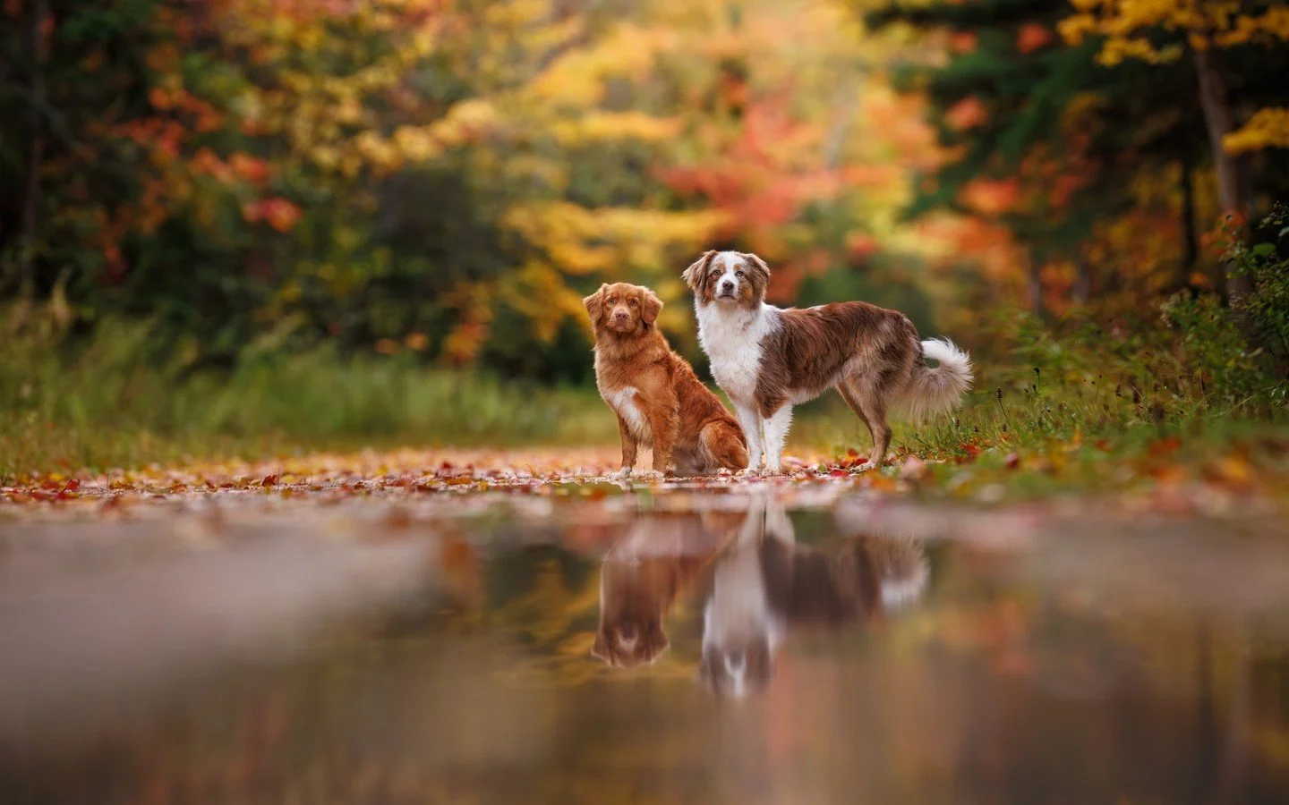 ⭐️ In this series, I'm sharing my Top 10 Photos of 2025 ⭐️⁠
⁠
The vast majority of my shooting this year happened in Nova Scotia while teaching three back-to-back Unleashed Workshops, so it makes sense that a few images in my Top 10 come from this ti