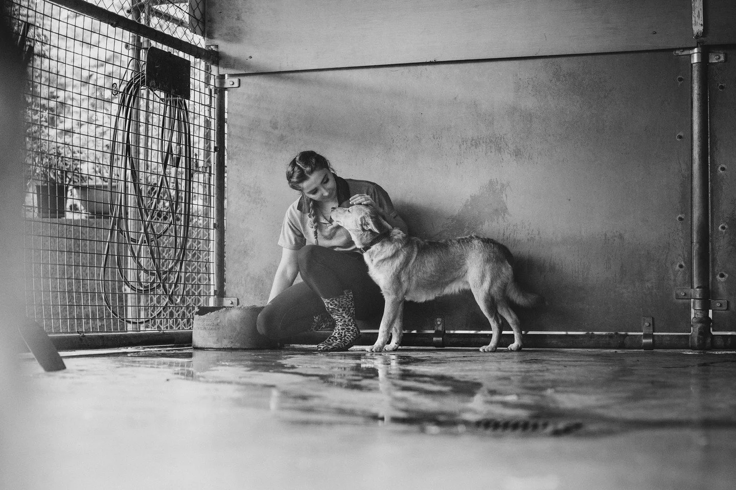 ⭐️ In this series, I'm sharing my Top 10 Photos of 2024 ⭐️⁠
⁠
➡️ Swipe to watch the behind the scenes video.⁠
⁠
This year, we at @unleashed.ed launched our third Unleashed Challenges course Empower, featuring a challenge called Dogumentary. Craig and