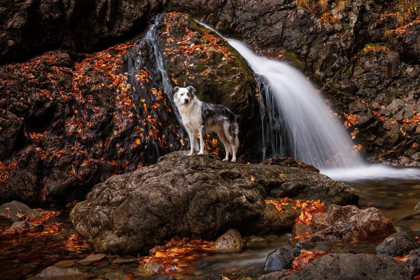 ⭐️ In this series, I'm sharing my Top 10 Photos of 2025 ⭐️⁠
⁠
Uisge B&agrave;n ticked all the boxes for an epic waterfall location during our Nova Scotia workshops. A walking trail runs alongside the creek, filled with gorgeous autumn colour that shi