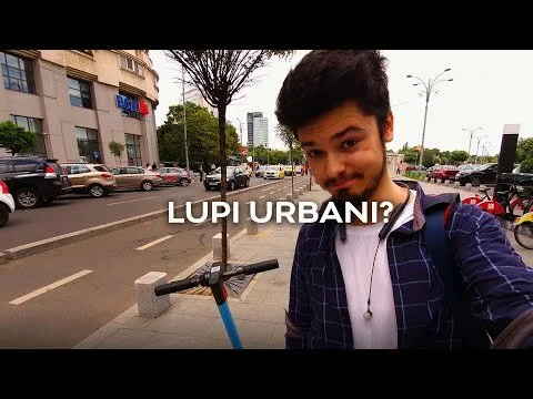 [Vlog] M-au rapit lupii urbani