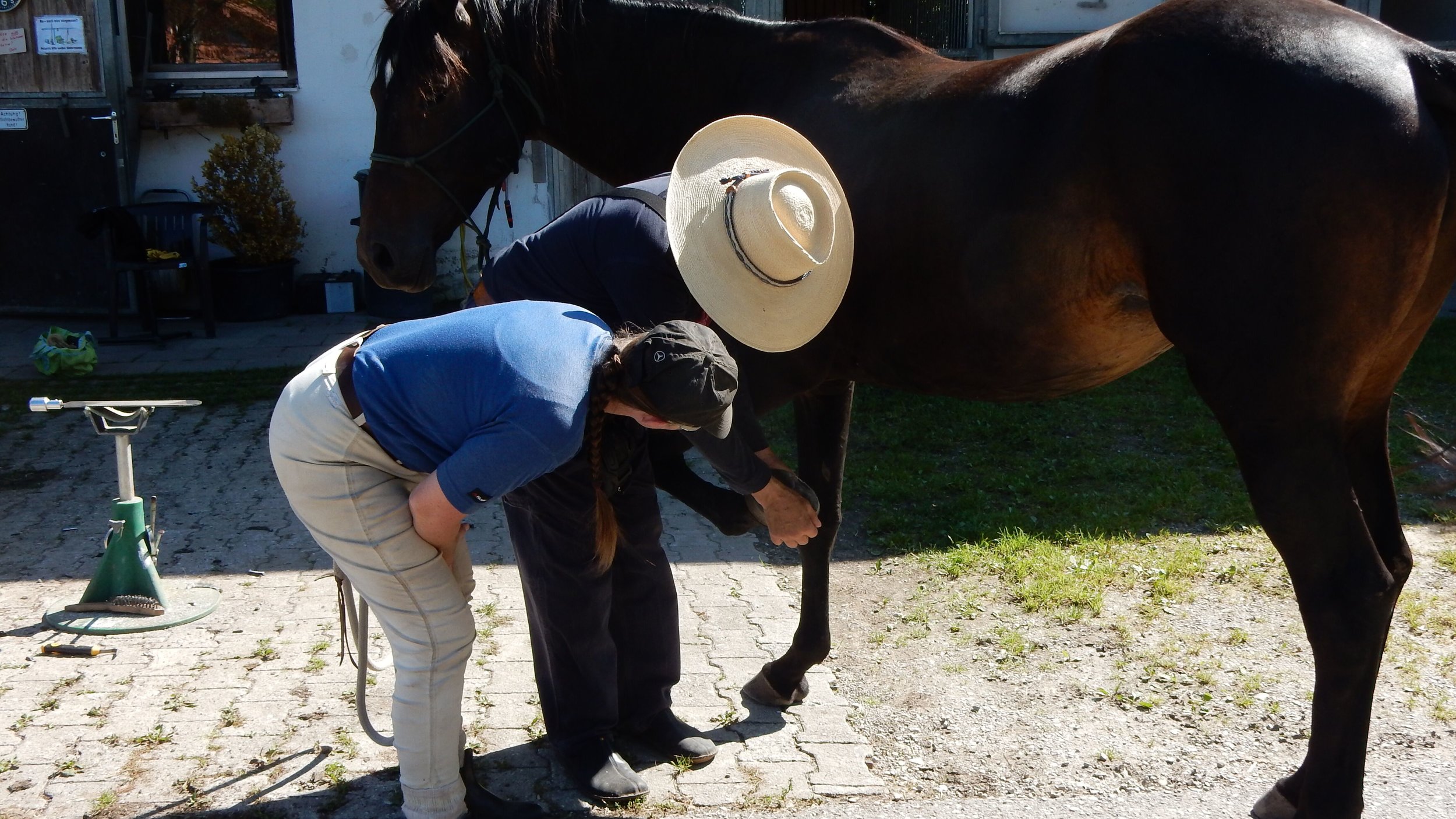 88364 Wolfegg (D) - Hufmanagement für Pferdebesitzer